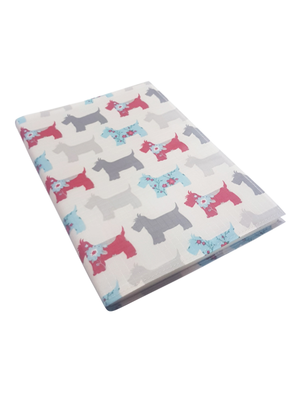 Schnauzer - Cream Schnauzer - Cream